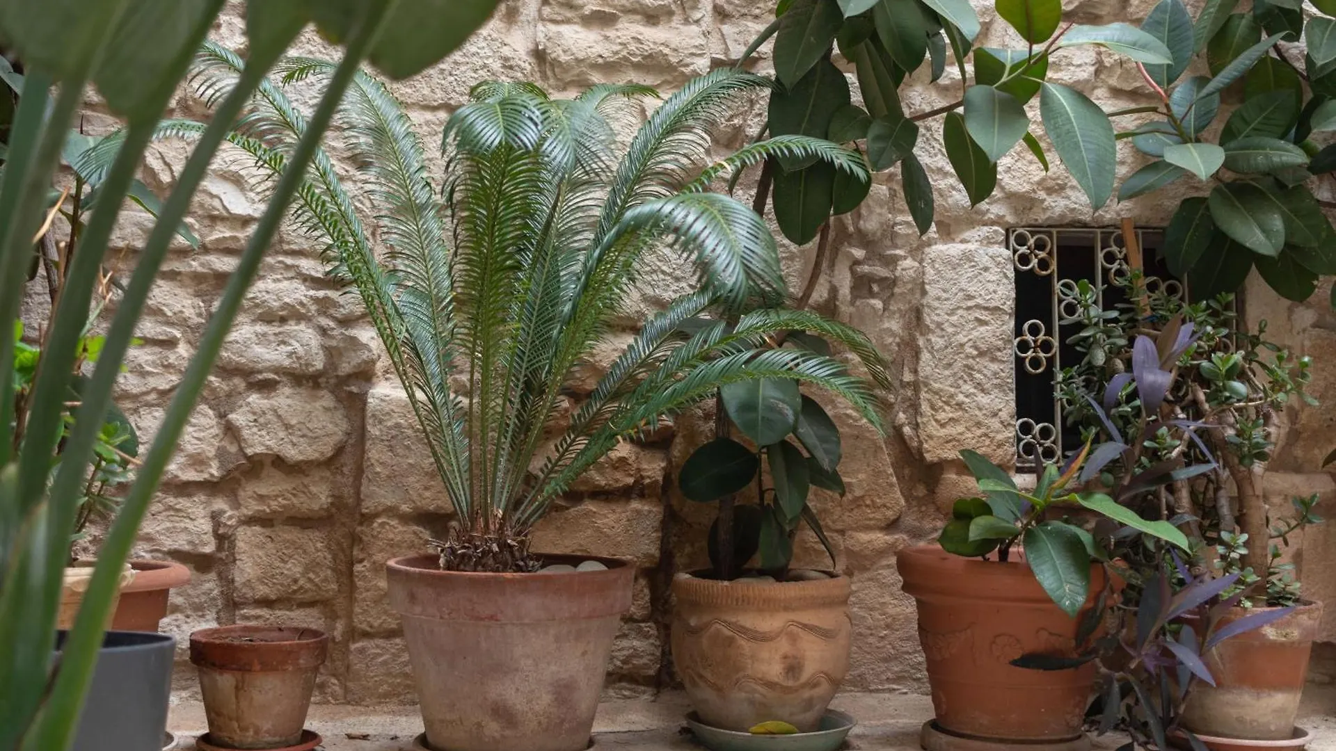Holiday home Zelda Casa Vacanza Giovinazzo